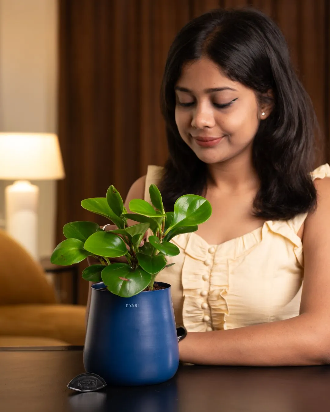 Peperomia Green Plant With Self Watering Pot - Image 44