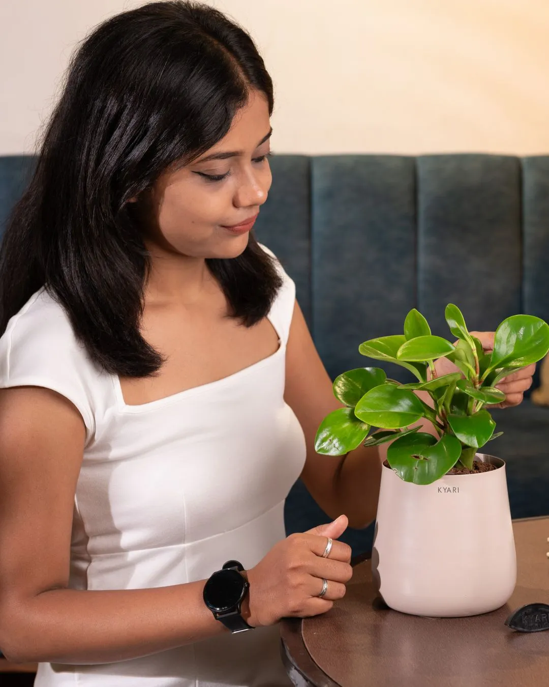 Peperomia Green Plant With Self Watering Pot - Image 64