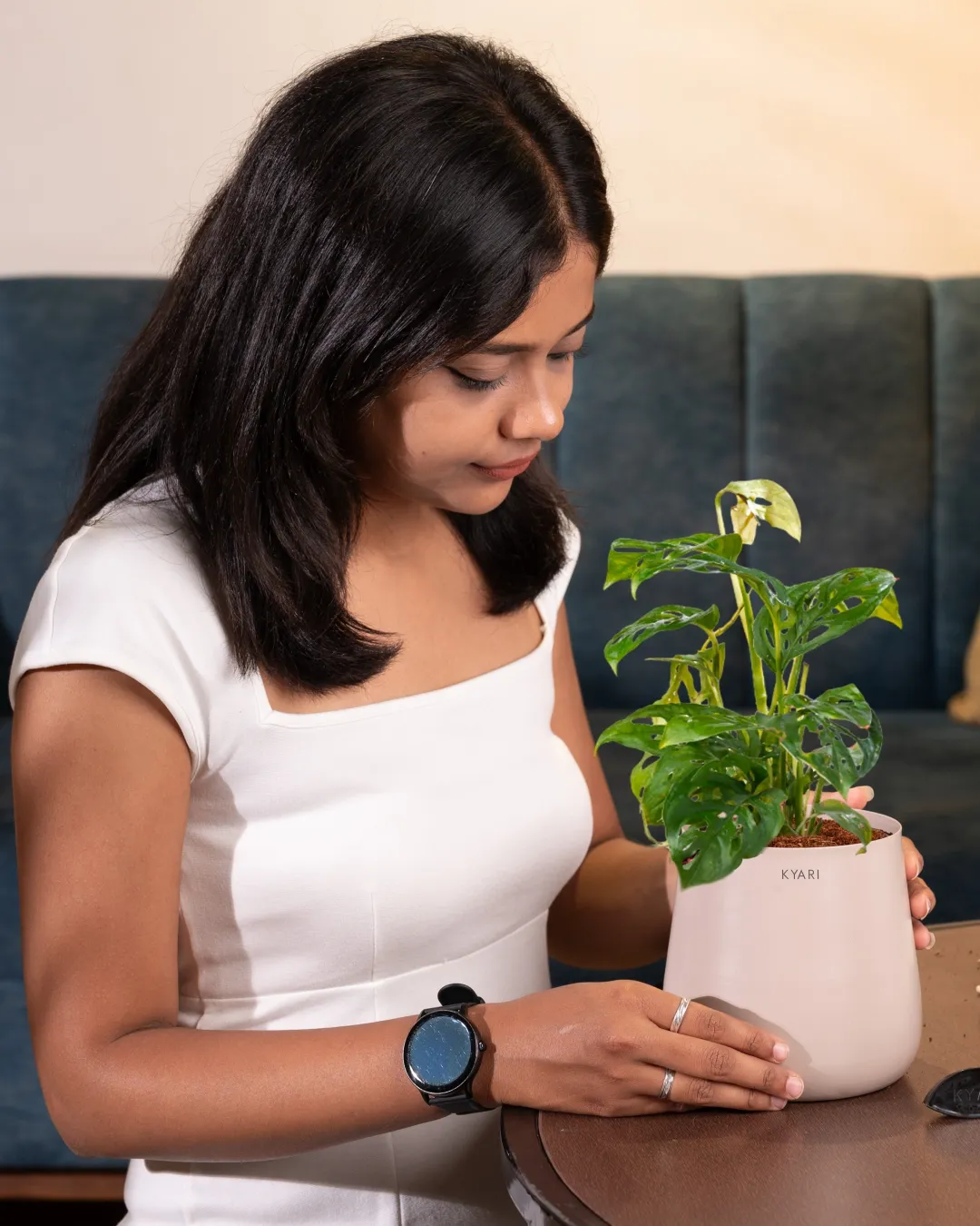 Philodendron Broken Heart Plant With Self Watering Pot - Image 68