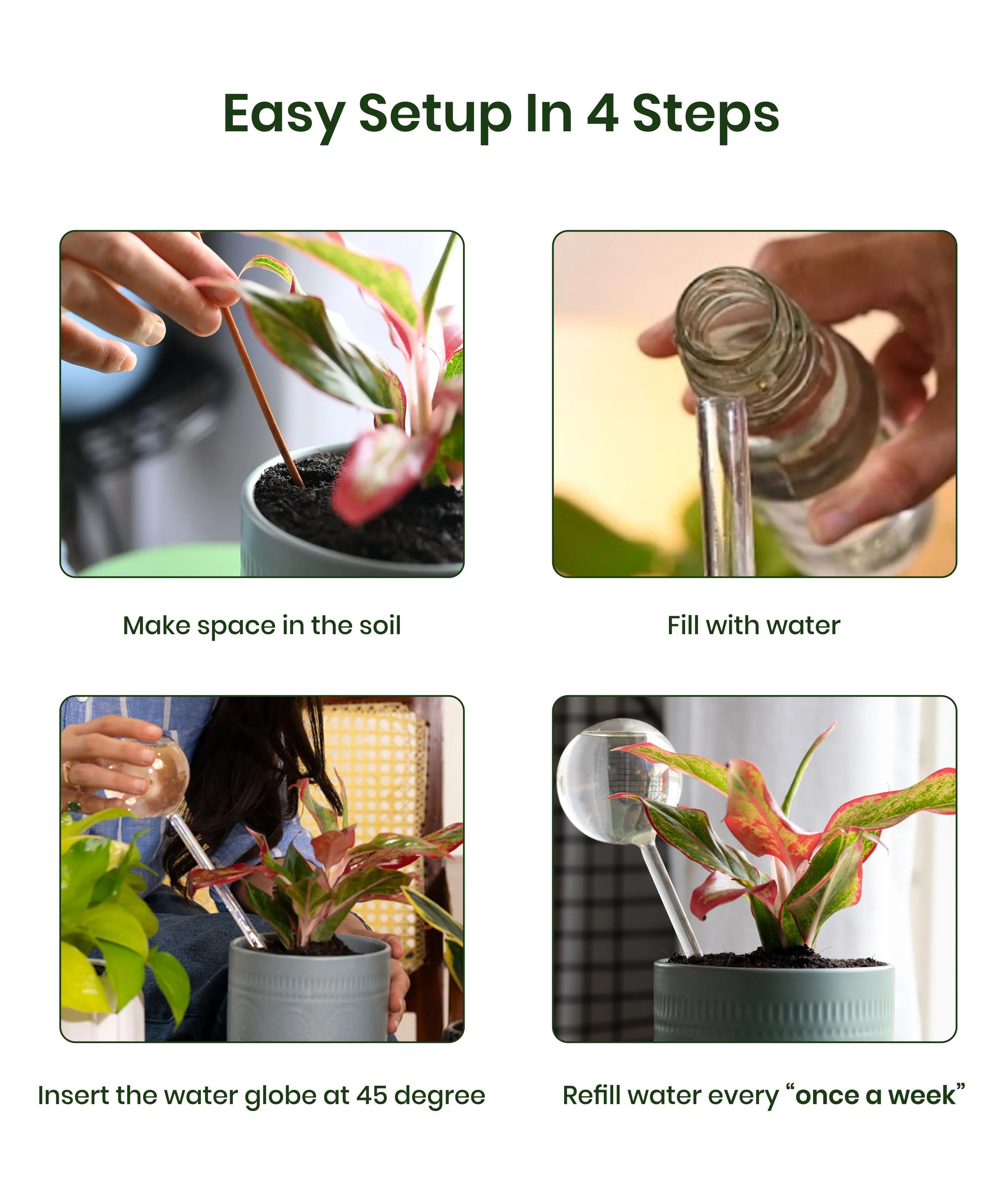 Plant Watering Globe - Image 3