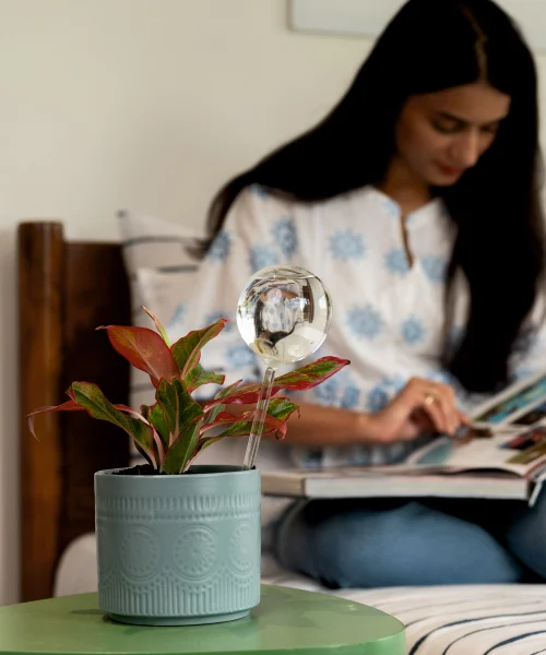 Plant Watering Globe - Image 5