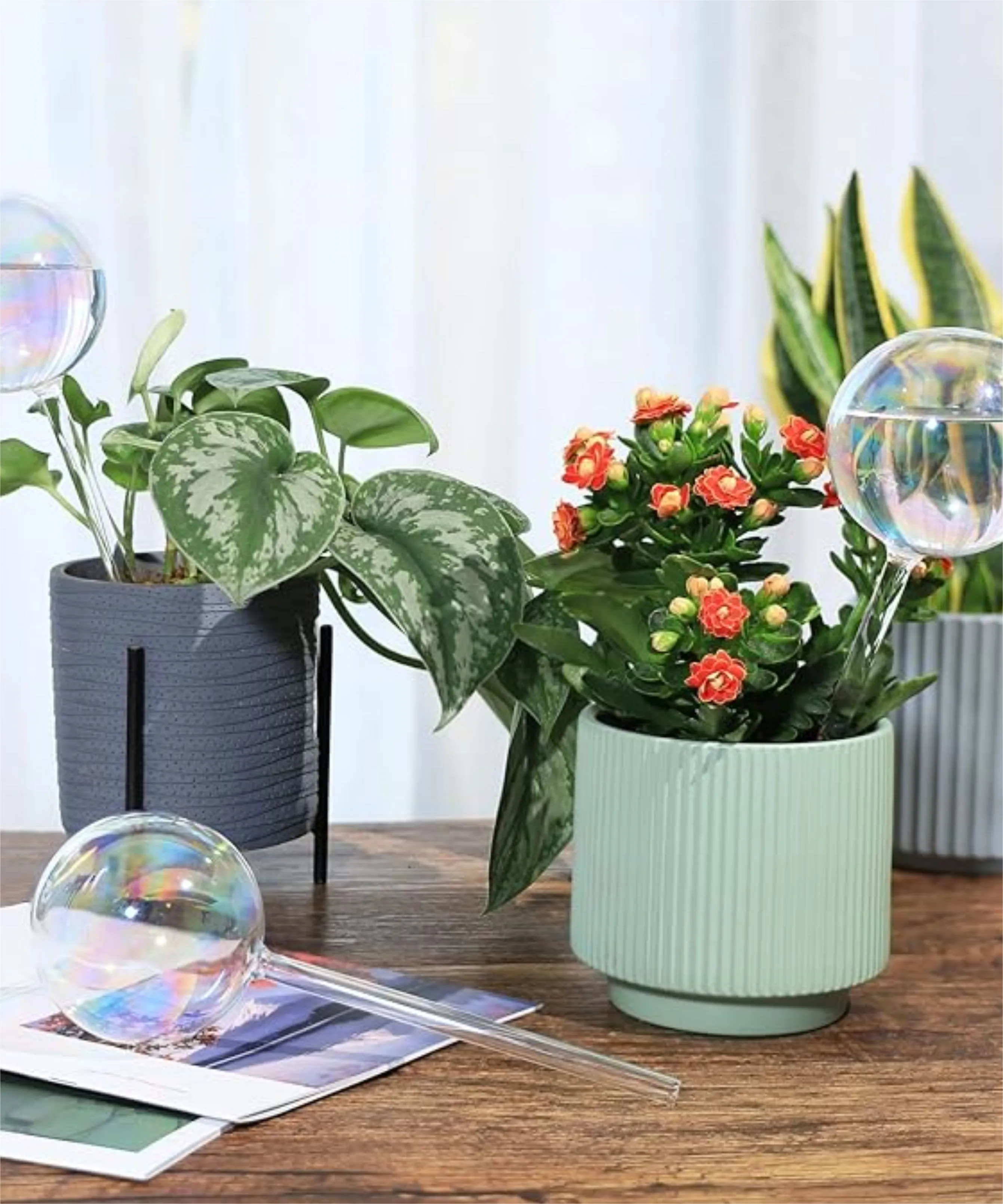 Plant Watering Globe - Image 6