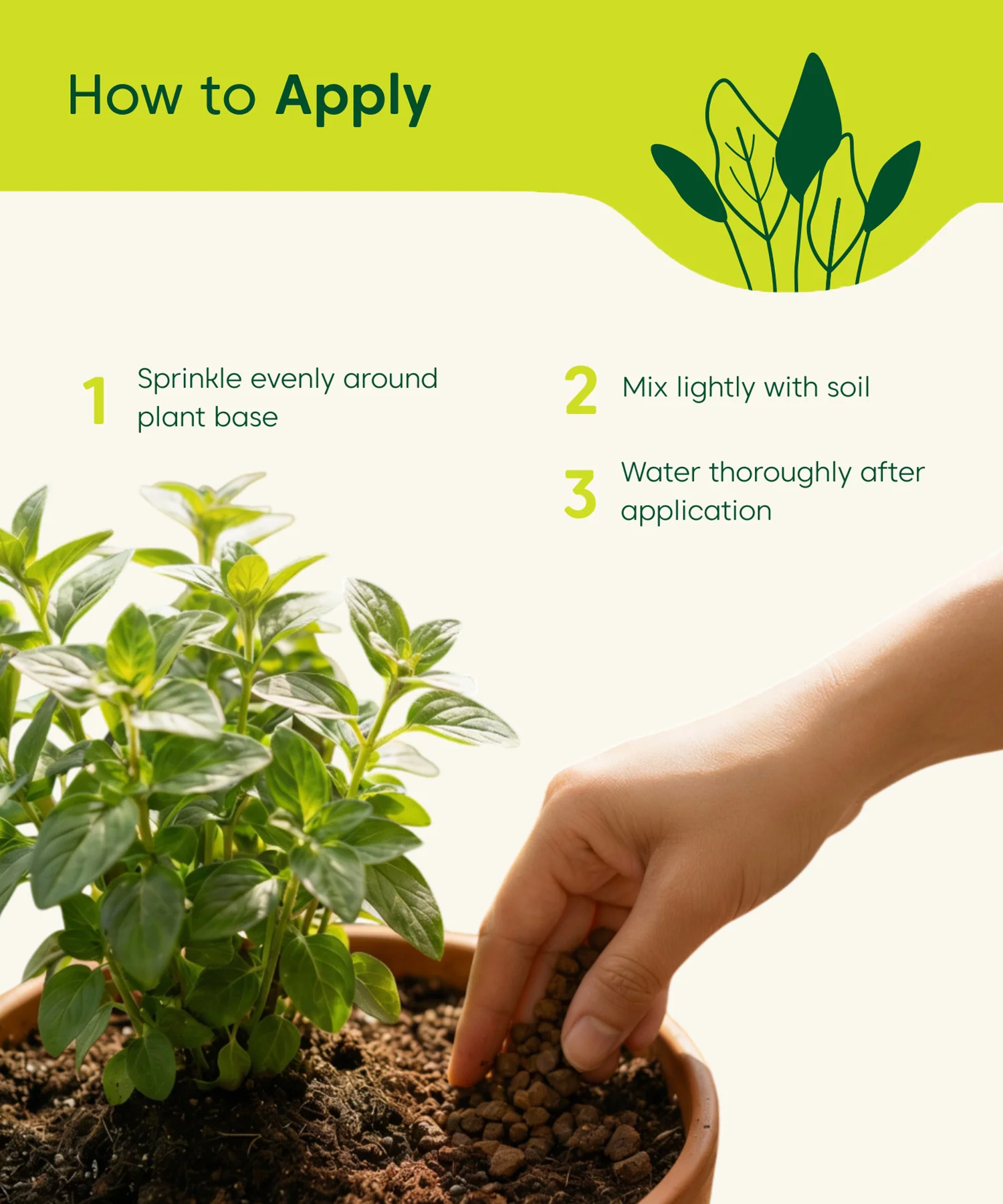Organic Potash Meal (1 KG) – Slow Release Plant Nutrient - Image 4