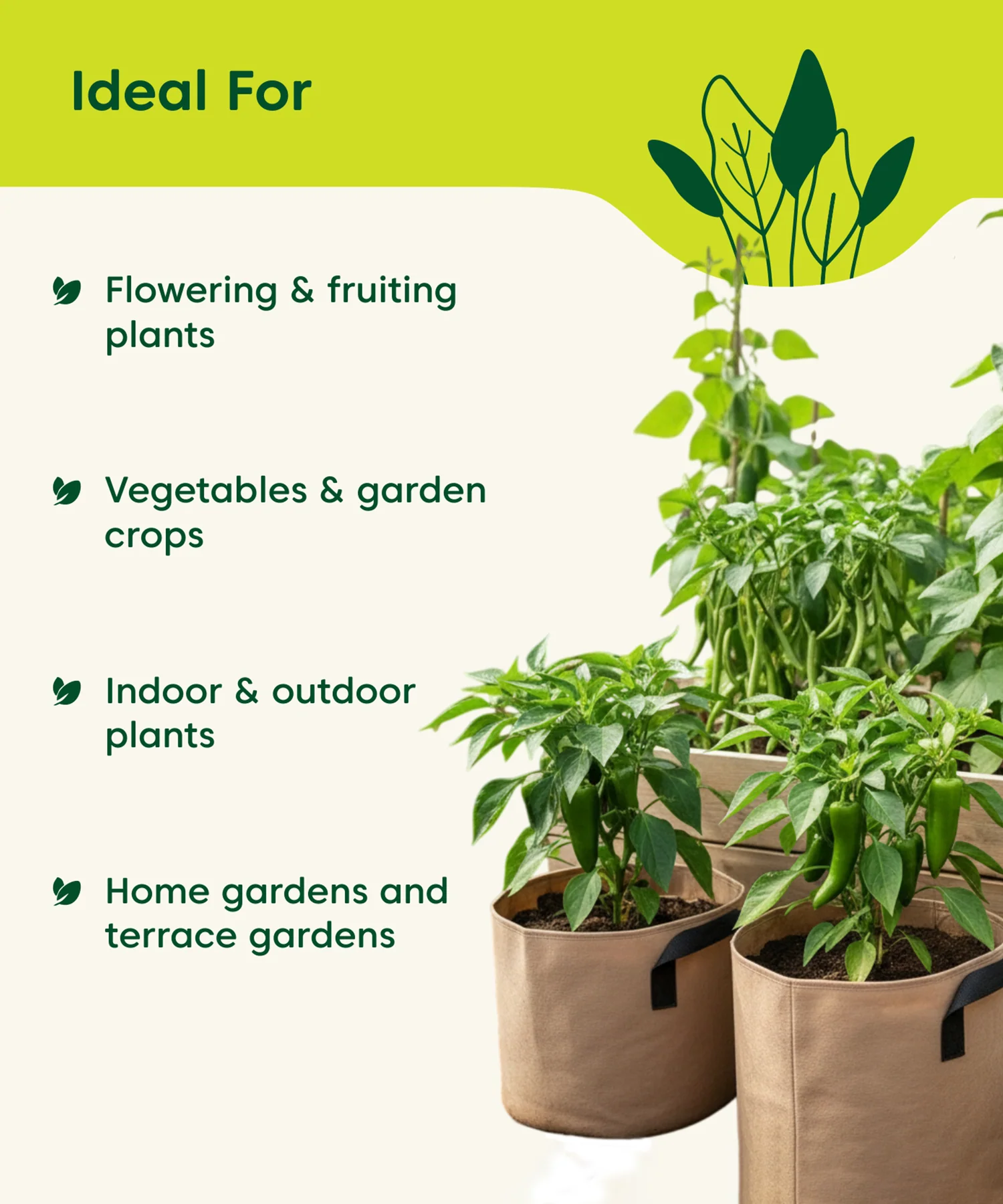 Organic Potash Meal (1 KG) – Slow Release Plant Nutrient - Image 5