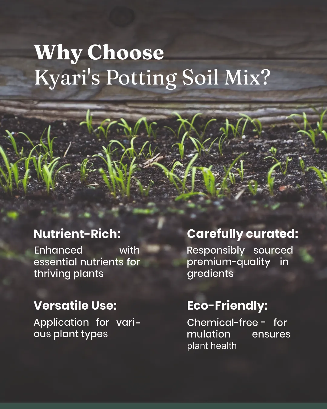 Potting Soil Mixture - Image 3