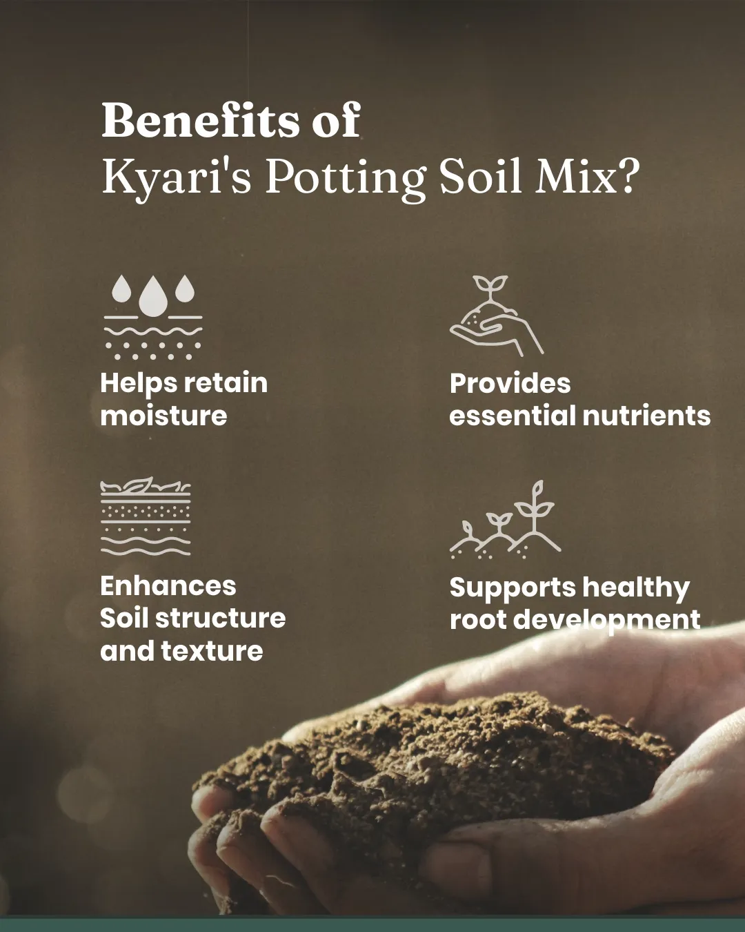 Potting Soil Mixture - Image 4