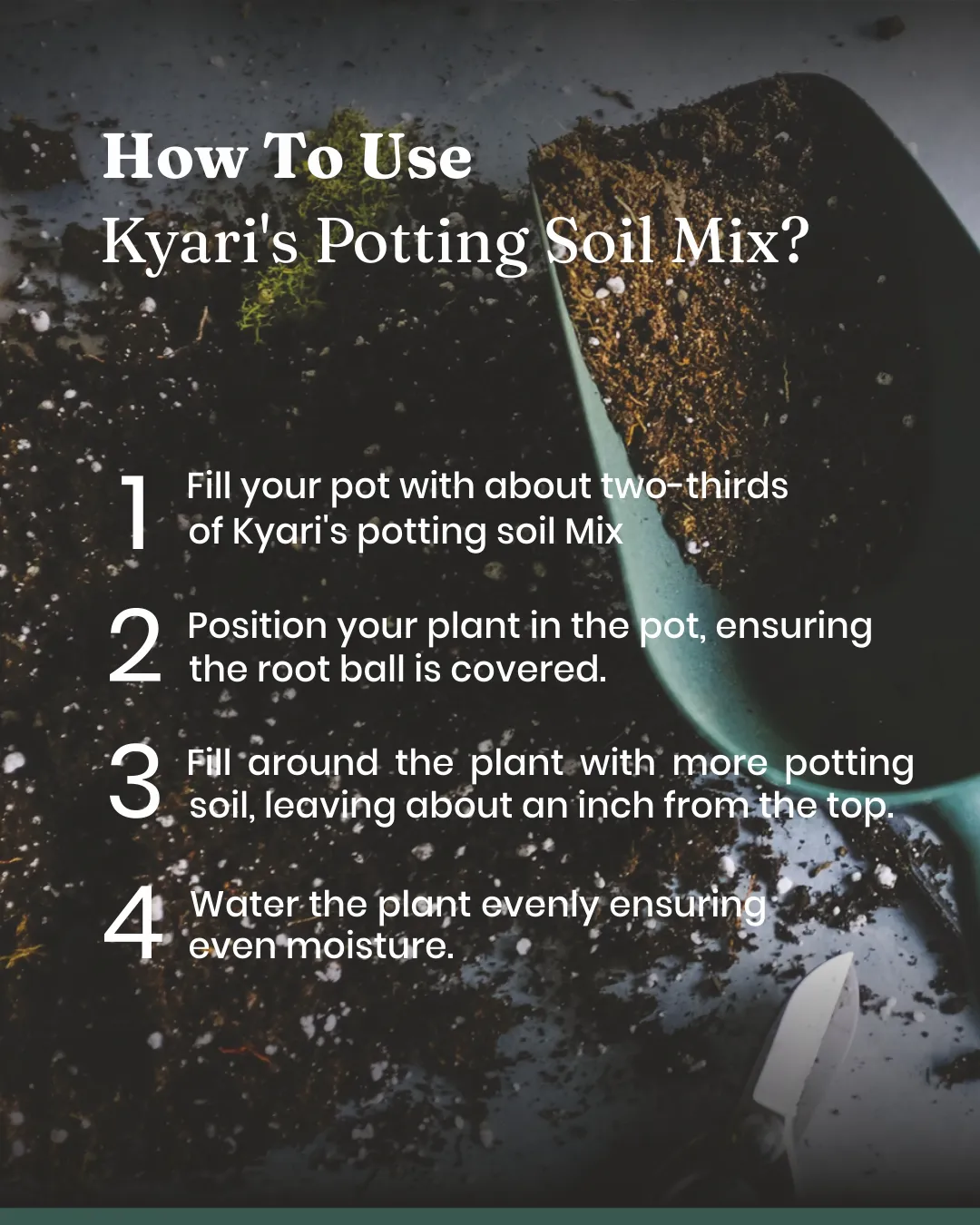 Potting Soil Mixture - Image 5