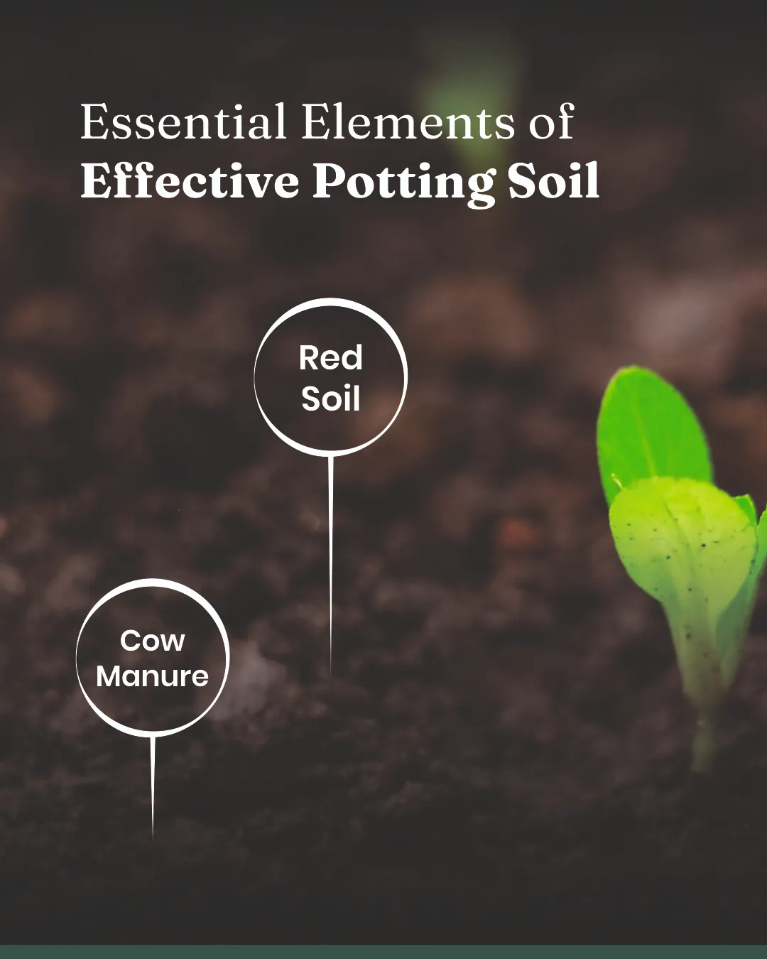 Potting Soil Mixture - Image 8