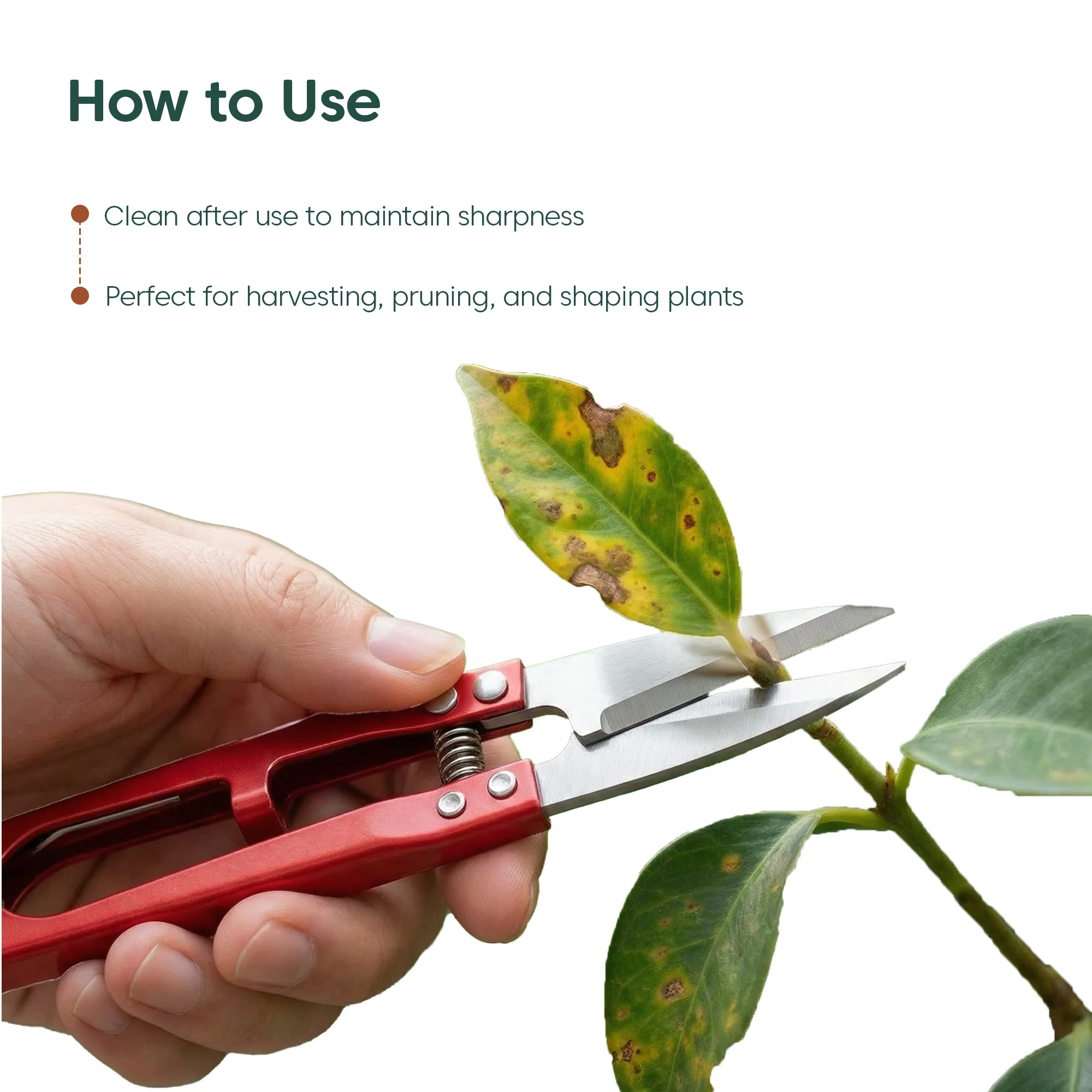 Plant Snips – Fine Precision Cutter for Plants - Thread Cutter - Image 12