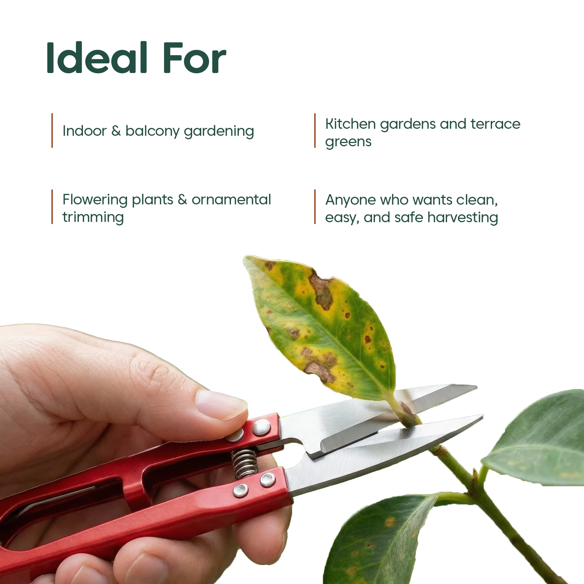 Plant Snips – Fine Precision Cutter for Plants - Thread Cutter - Image 14