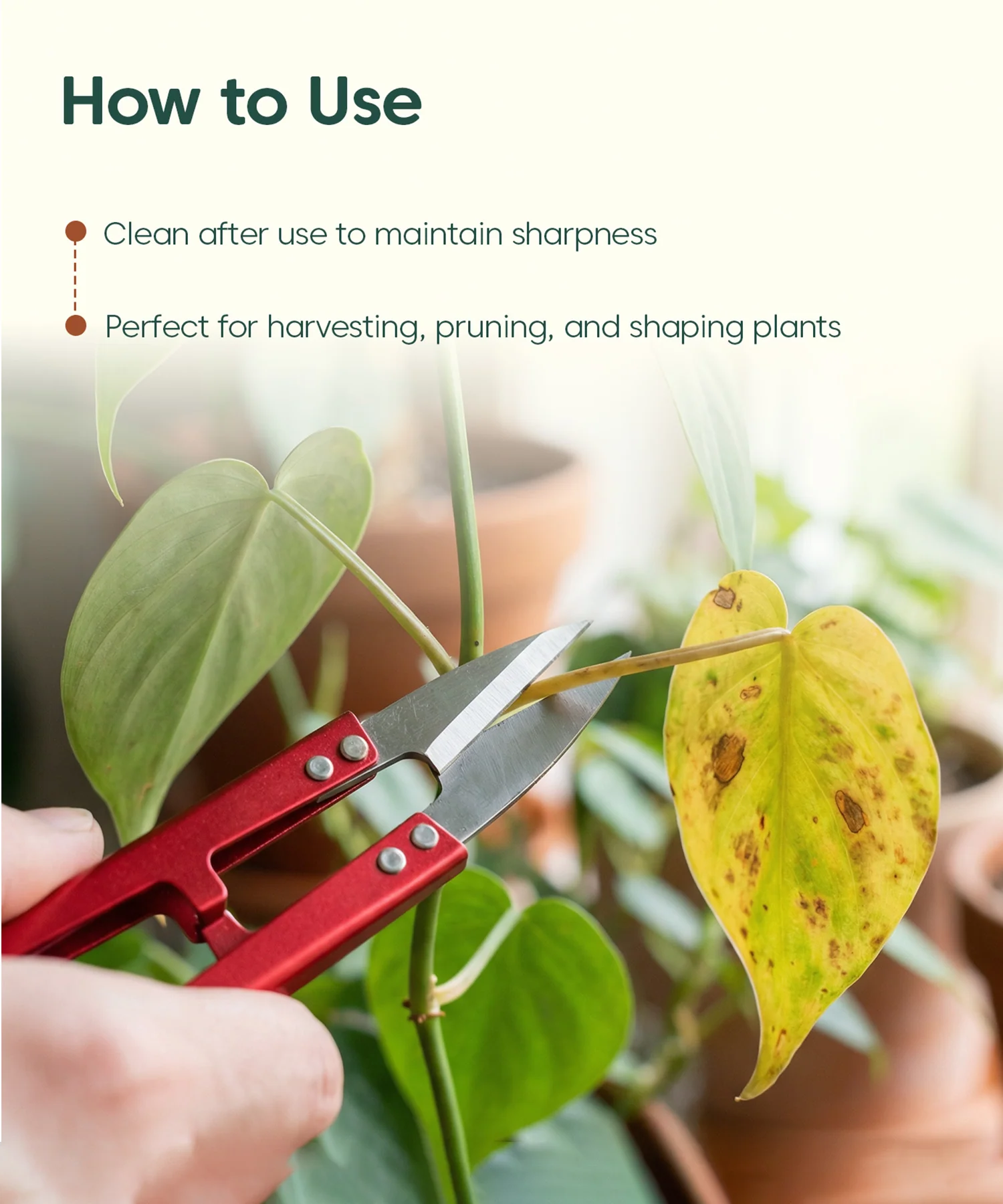 Plant Snips – Fine Precision Cutter for Plants - Thread Cutter - Image 4