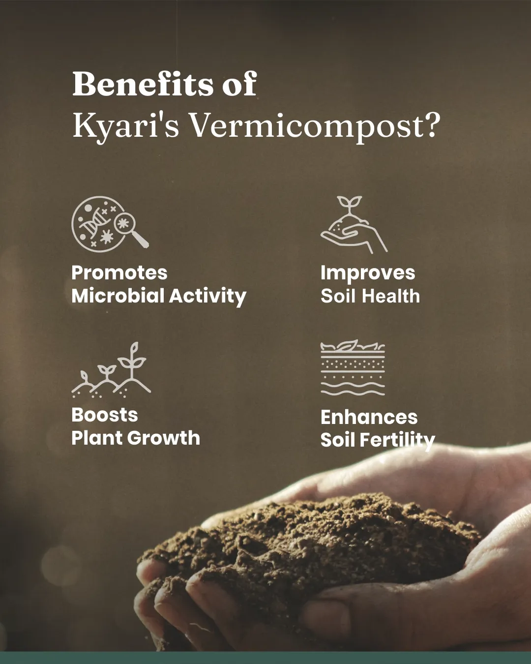 Vermicompost - Image 10