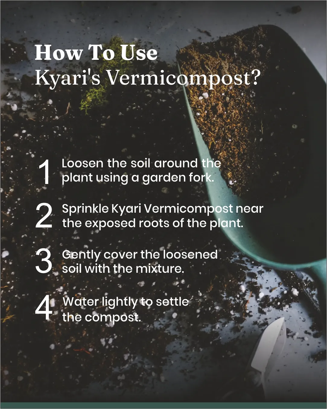 Vermicompost - Image 11