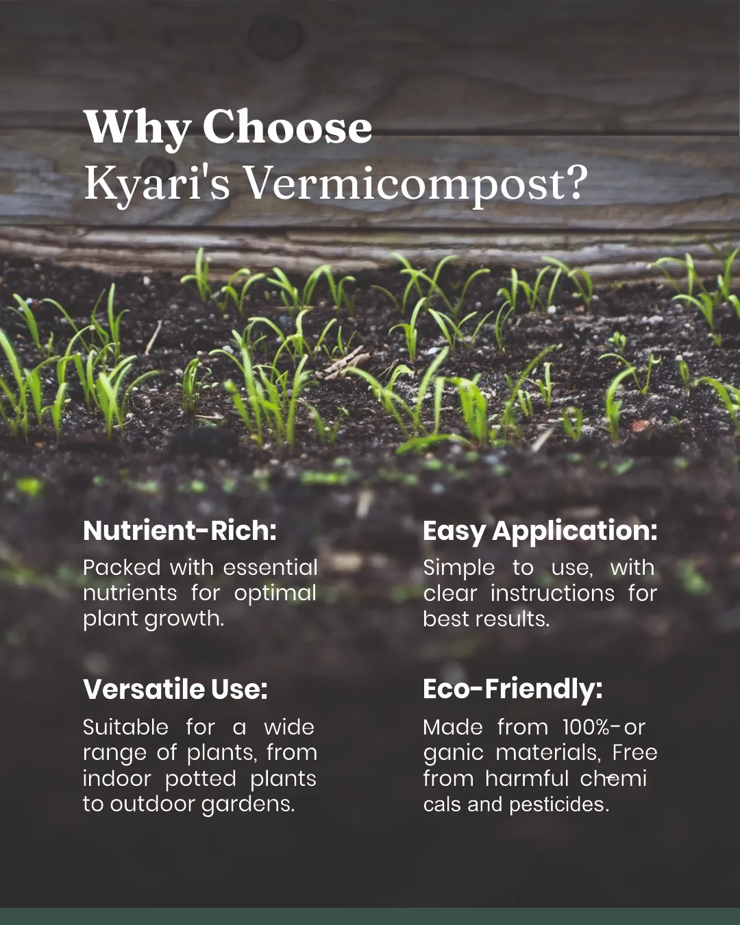 Vermicompost - Image 9