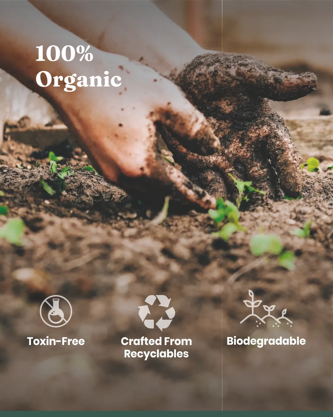 Vermicompost - Image 5