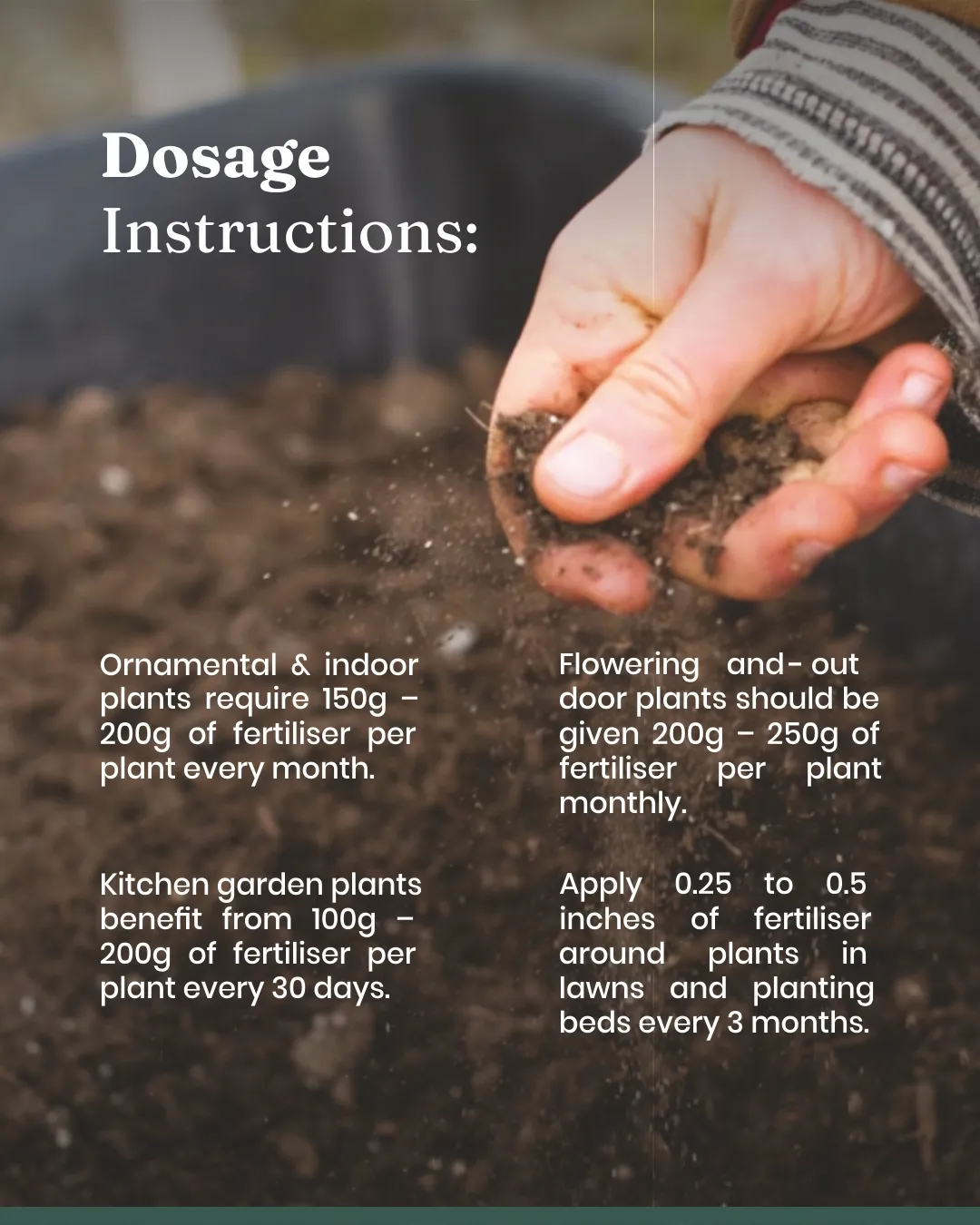 Vermicompost - Image 6
