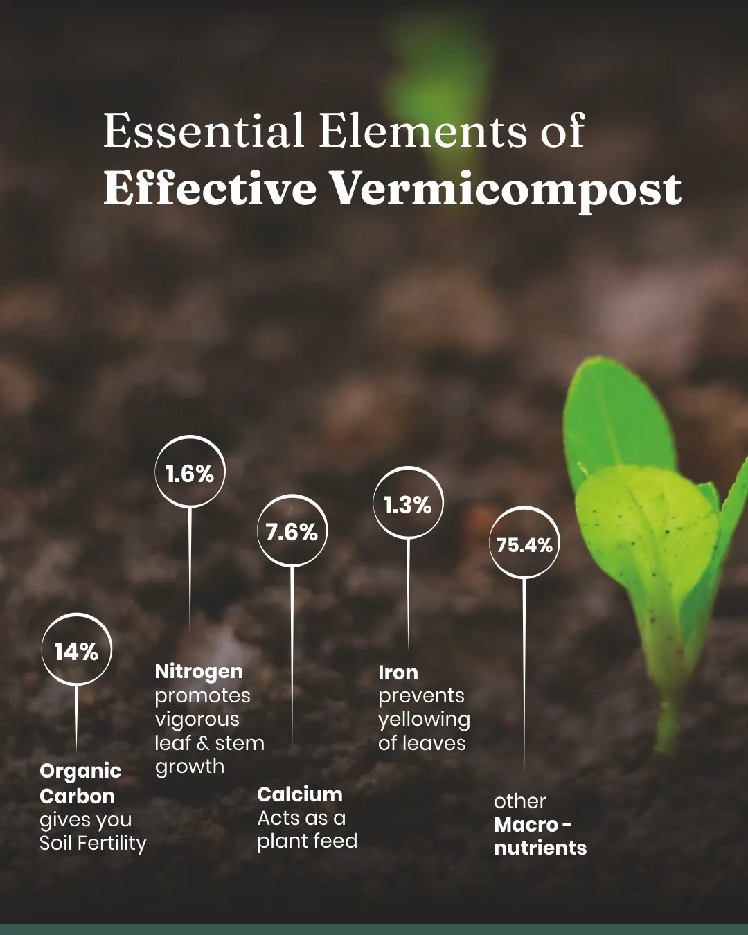 Vermicompost - Image 7